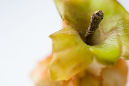 healthy fruit contains many vitamins in a single backgroundの写真素材