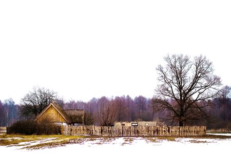 winter landscape of young grey forest with bright blue sky
の写真素材