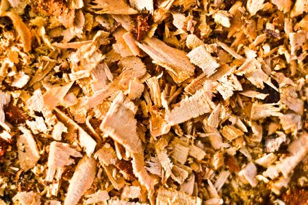 old grey wood textured for abstract bacground
の写真素材