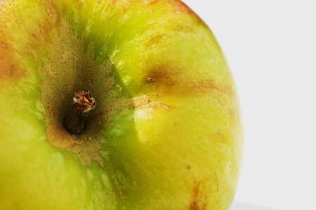 healthy fruit contains many vitamins in a single backgroundの写真素材