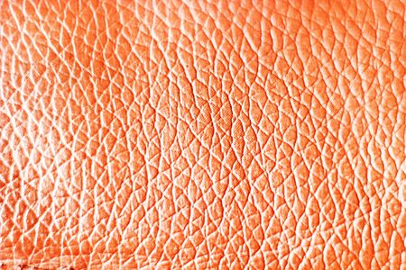 plastic, artificial plastic material that looks colorfulの写真素材