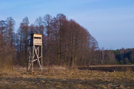 wooden structure standing near the forest on a sunny afternoonの写真素材