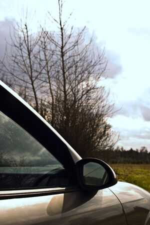 Modern silver car between yellow and green plants

の写真素材