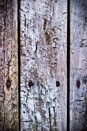 old grey wood textured for abstract bacground
の写真素材