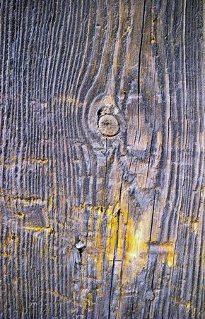 old grey wood textured for abstract bacground
の写真素材