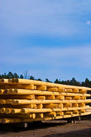 old grey wood textured for abstract background
の写真素材
