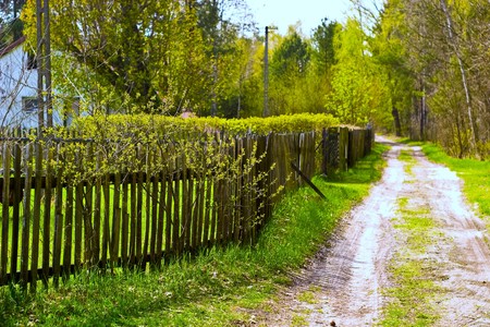 Old concrete boundary fence with nails on sunny day
の写真素材