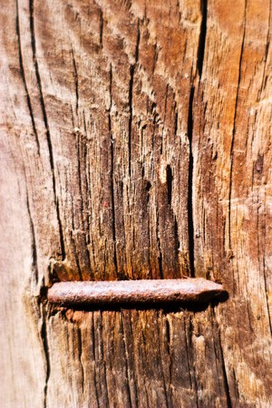 old grey wood textured for abstract background
の写真素材