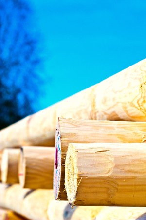 old grey wood textured for abstract background
の写真素材