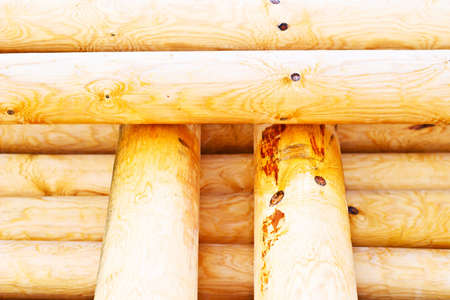 old grey wood textured for abstract background
の写真素材