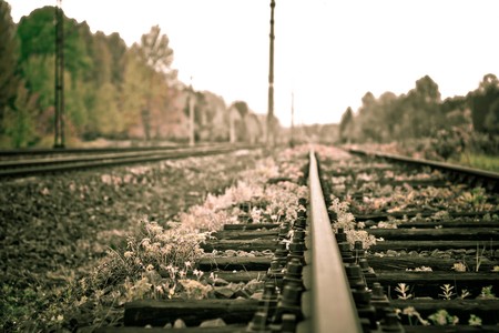 view of the railway track on a sunny dayの写真素材