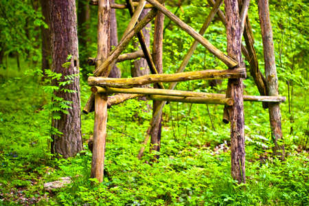 wooden structure standing near the forest on a sunny afternoonの写真素材