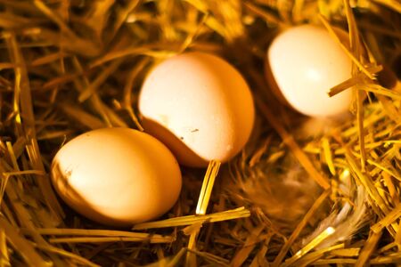 a closeup of a pile of brown eggs, some eggs on background の写真素材