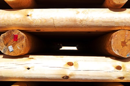 old grey wood textured for abstract background
の写真素材