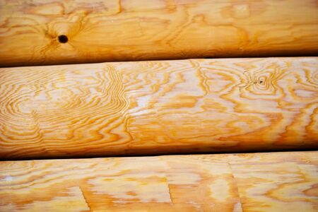 old grey wood textured for abstract background
の写真素材