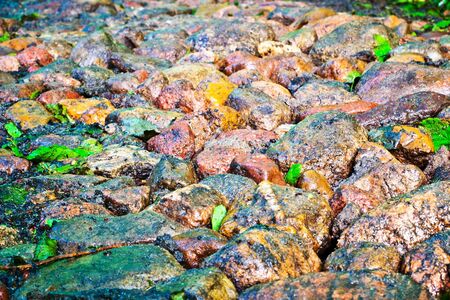 pebble stones in sunny day great as a background

の写真素材