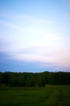 occurring yellow sun behind the clouds on a warm evening の写真素材