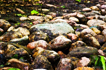 pebble stones in sunny day great as a background

の写真素材
