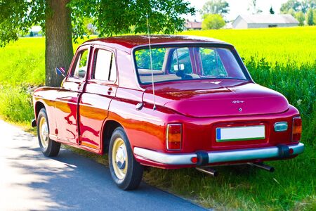 oldtimer red car between yellow and green plants

の写真素材