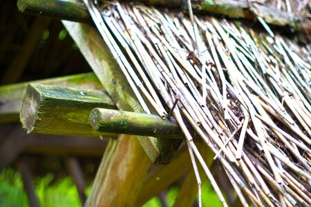 wooden structure standing near the forest on a sunny afternoonの写真素材