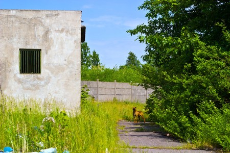 Wide angle view of an old wall abandoned factory building
の写真素材