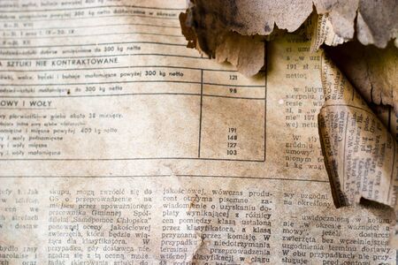 paper texture, old paper texture over white background

の写真素材