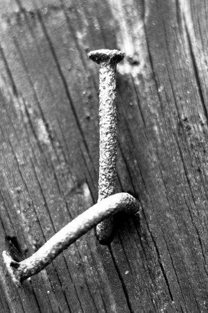 old grey wood textured for abstract background
の写真素材