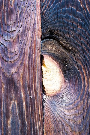 old grey wood textured for abstract background
の写真素材