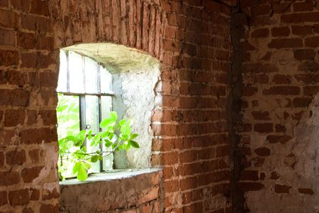 Discarded ruin with old windows and wall, industrial window in concrete wall


