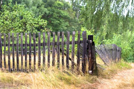 old grey wood textured for abstract background
の写真素材