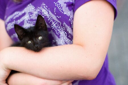 Kitten playing outside and looking at photographer (series Animals)の写真素材