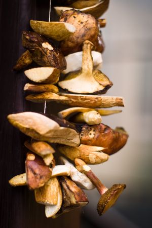 old grey wood textured for abstract backgroundの写真素材