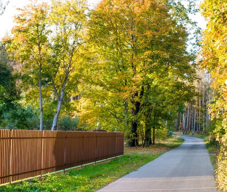 motorway, asphalt road under fluffy clouds, fall scenic highwayの写真素材