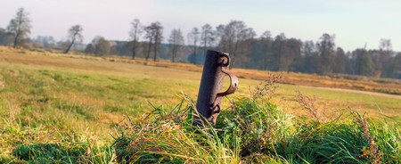 plants for natural background on agricultural field
の写真素材