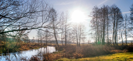 Sunlight in the green end yelow forest, autumn timeの写真素材