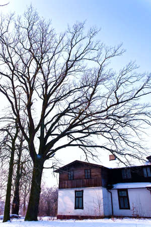 historic architecture of the building on a bright sunny dayの写真素材