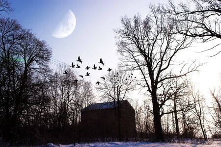historic architecture of the building on a bright sunny dayの写真素材