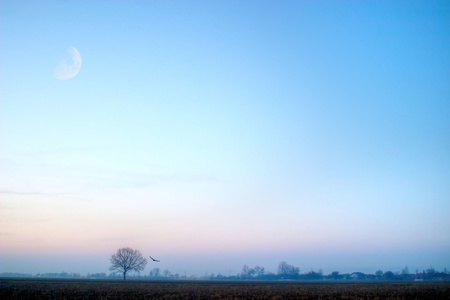 occurring yellow sun behind the clouds on a warm eveningの写真素材