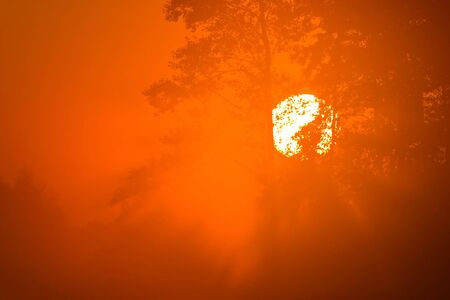 occurring yellow sun behind the clouds on a warm eveningの写真素材