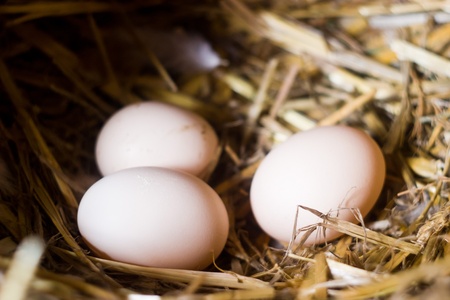 a closeup of a pile of brown eggs, some eggs on background
