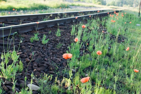 view of the railway track on a sunny dayの写真素材