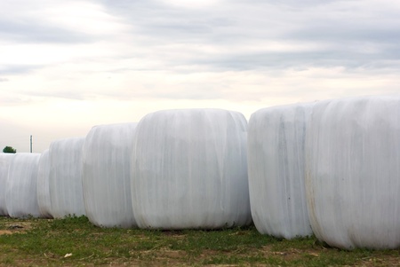 silage, bales, hay bales, plastic wrap cover for wheat cereal bales outdoorの写真素材