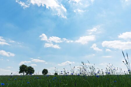 occurring yellow sun behind the clouds on a warm eveningの写真素材
