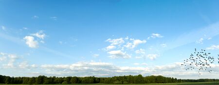 occurring yellow sun behind the clouds on a warm eveningの写真素材