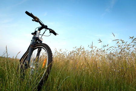 color bike, bike series, parts of bike in sunny dayの写真素材