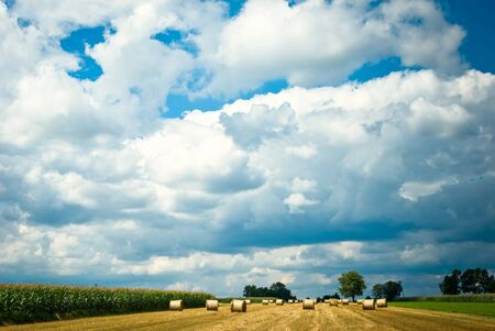 agricultural field, nature and agriculture farming series