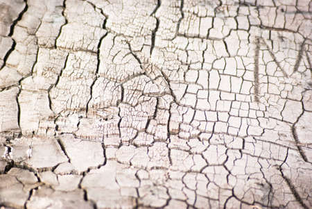 background with space for text or image. design seriesの写真素材