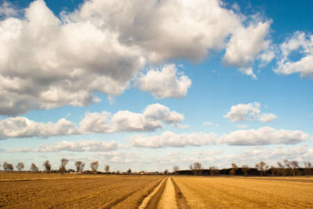 occurring yellow sun behind the clouds on a warm eveningの写真素材