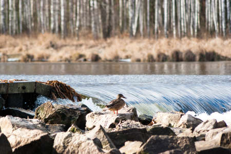 blue lake with cloudy sky, nature seriesの写真素材