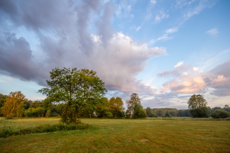 agricultural field, nature and agriculture farming seriesの写真素材